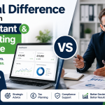 Accountant and Accounting Software
